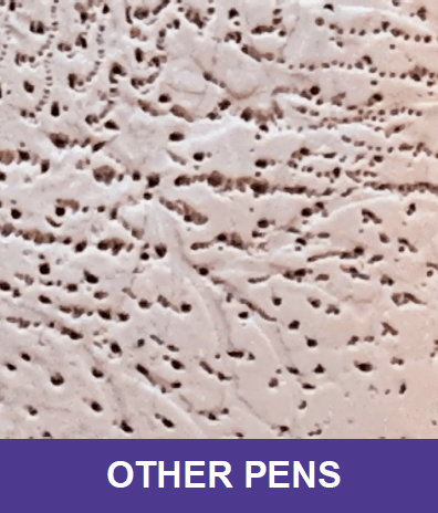 Lysa Marie INK Certified Procell Microchanneling Professional