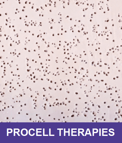 Lysa Marie INK Certified Procell Microchanneling Professional