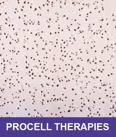 Lysa Marie INK Certified Procell Microchanneling Professional