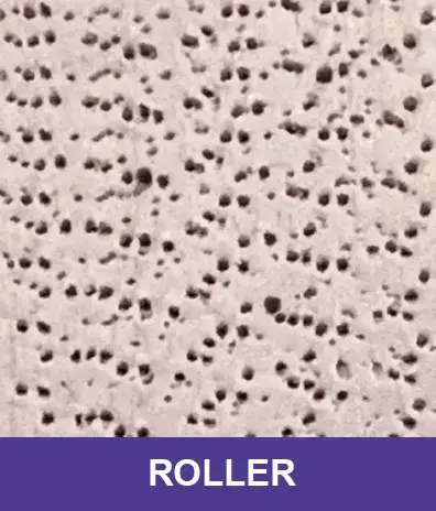 Lysa Marie INK Certified Procell Microchanneling Professional