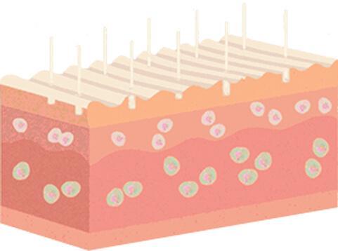 Lysa Marie INK Certified Procell Microchanneling Professional